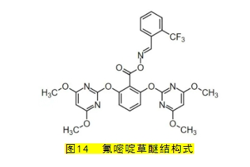 微信截图_20240402105017.png