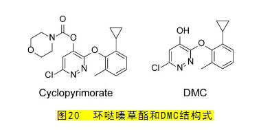 微信截图_20240402105452.png