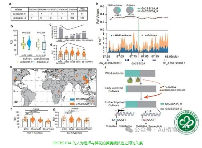 微信截图_20240408092515.jpg