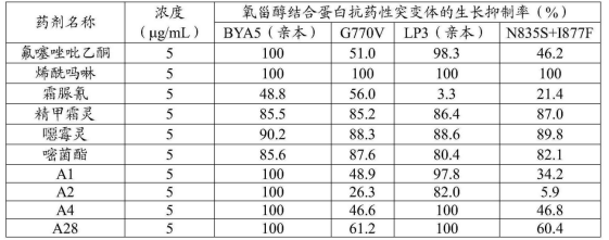 微信图片_2025-08-19_091651_055.png 微信图片_2025-08-19_091651_055.png