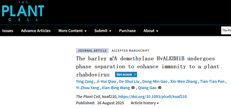 微信图片_2025-09-09_155225_604.png 微信图片_2025-09-09_155225_604.png