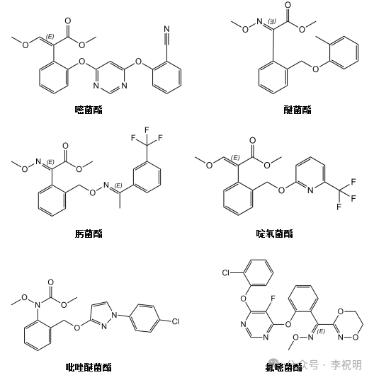 微信图片_2025-09-09_163526_896.png