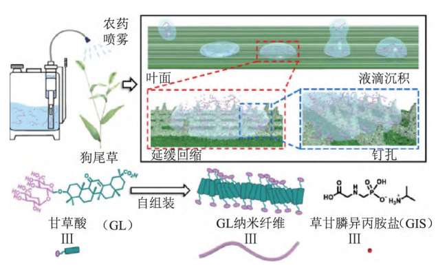 微信图片_2025-09-26_140449_825.png 微信图片_2025-09-26_140449_825.png