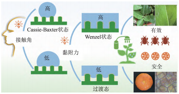 微信图片_2025-09-26_140503_130.png 微信图片_2025-09-26_140503_130.png