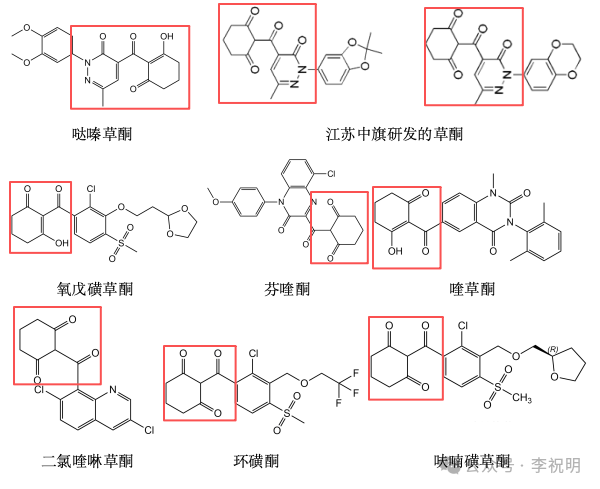 微信图片_2025-09-26_151203_237.png