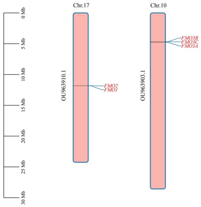 微信图片_2025-09-28_093123_677.png
