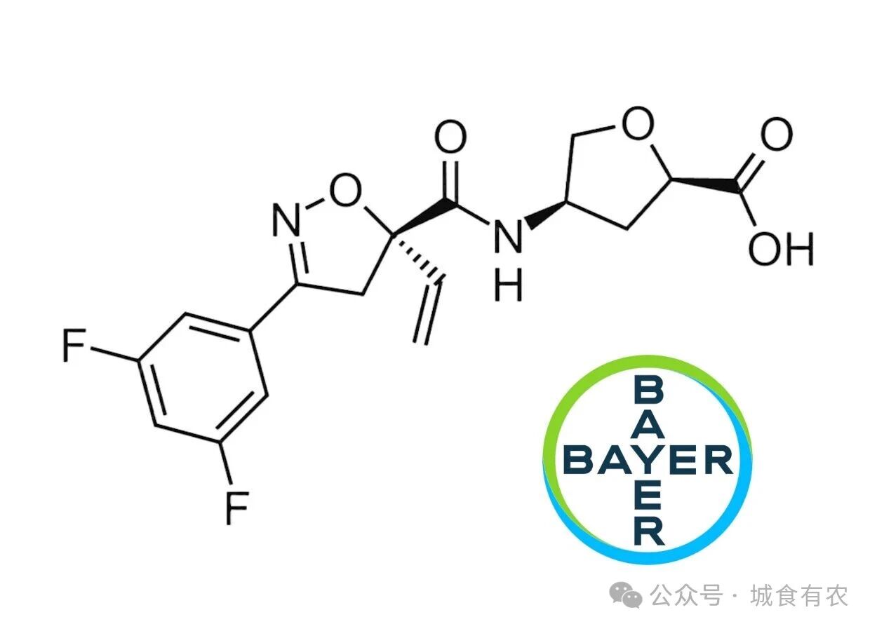 微信图片_2025-10-21_092123_629.jpg 微信图片_2025-10-21_092123_629.jpg
