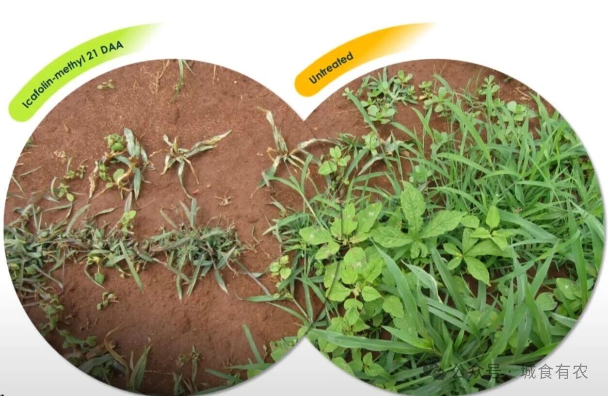 微信图片_2025-10-21_092131_191.jpg 微信图片_2025-10-21_092131_191.jpg