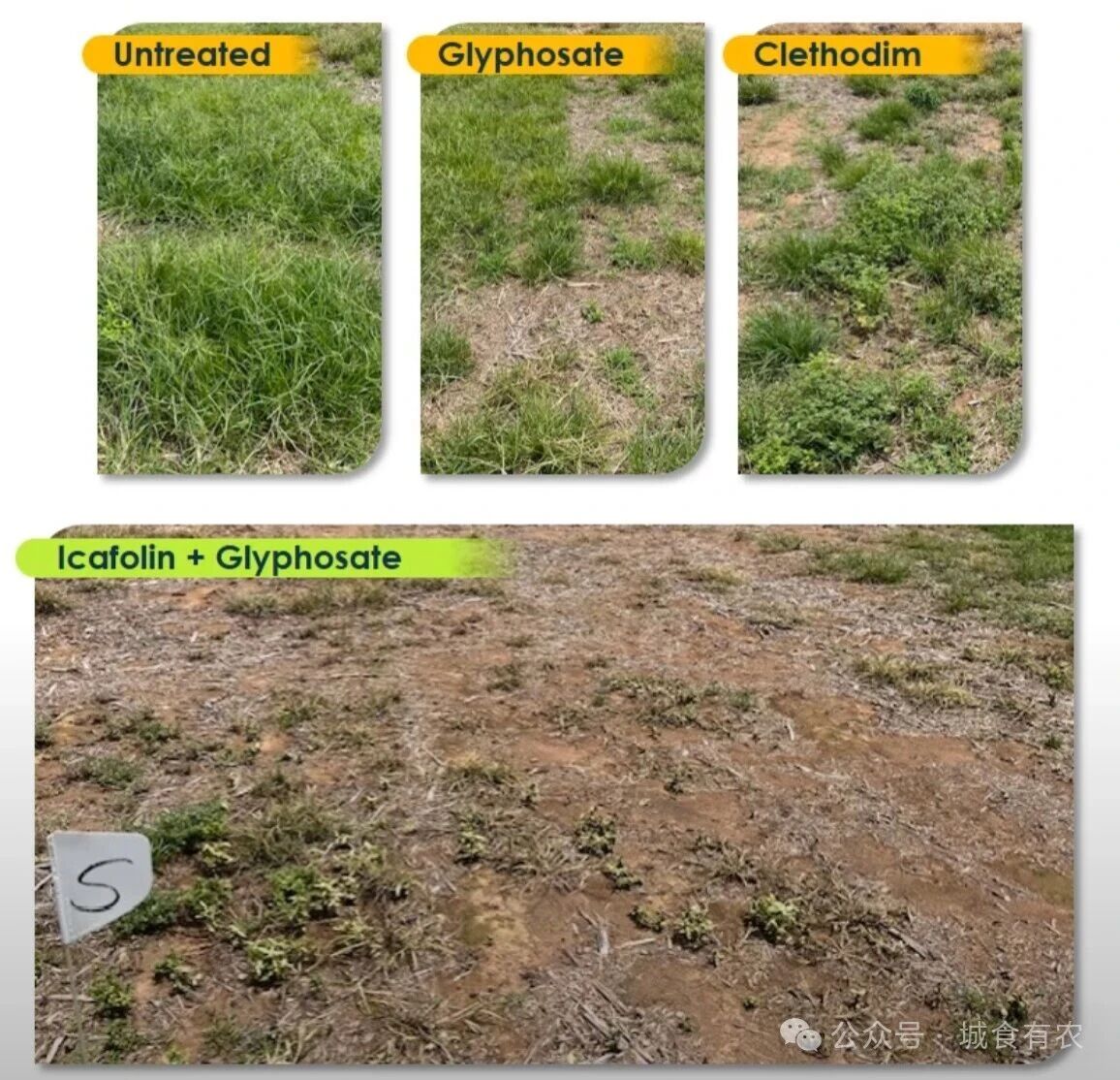 微信图片_2025-10-21_092134_649.jpg 微信图片_2025-10-21_092134_649.jpg