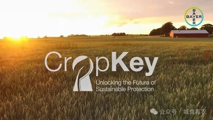 微信图片_2025-10-21_092137_741.jpg 微信图片_2025-10-21_092137_741.jpg