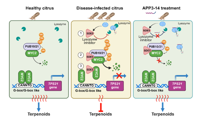 微信图片_2025-10-24_092646_248.png 微信图片_2025-10-24_092646_248.png