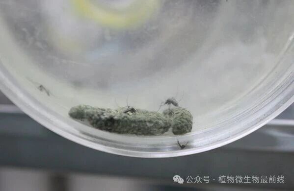 微信图片_2025-11-07_153746_105.jpg 微信图片_2025-11-07_153746_105.jpg