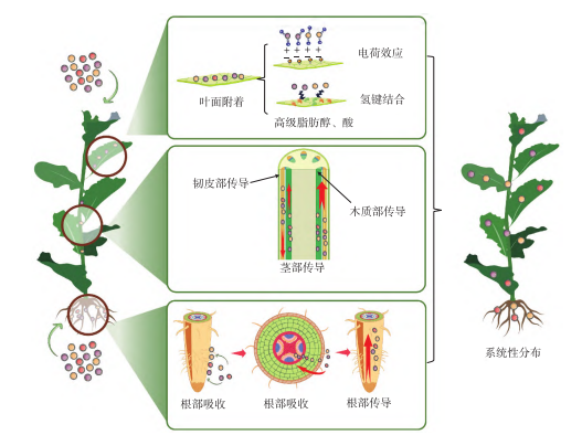 微信图片_2025-11-10_100527_847.png 微信图片_2025-11-10_100527_847.png