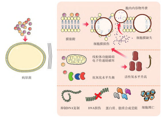微信图片_2025-11-10_100535_069.png 微信图片_2025-11-10_100535_069.png