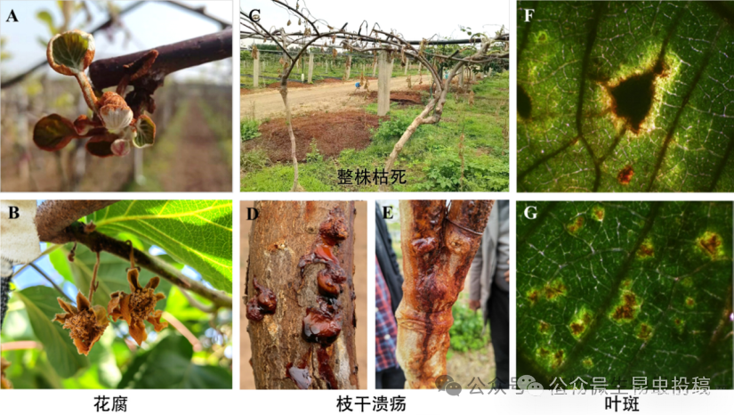 微信图片_2025-11-11_093338_240.png 微信图片_2025-11-11_093338_240.png