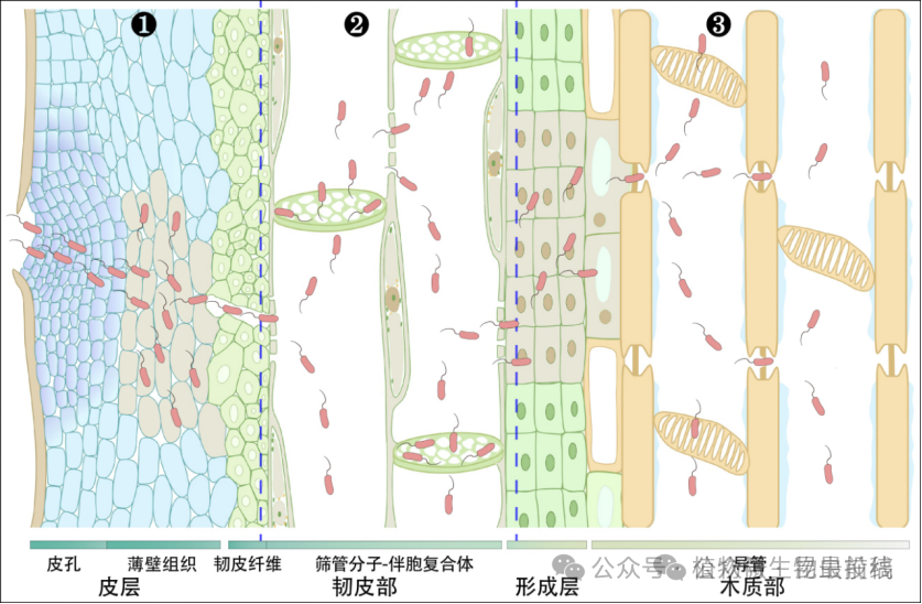 微信图片_2025-11-11_093342_429.png 微信图片_2025-11-11_093342_429.png