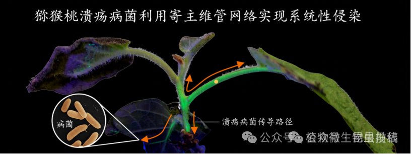 微信图片_2025-11-11_093345_563.png 微信图片_2025-11-11_093345_563.png