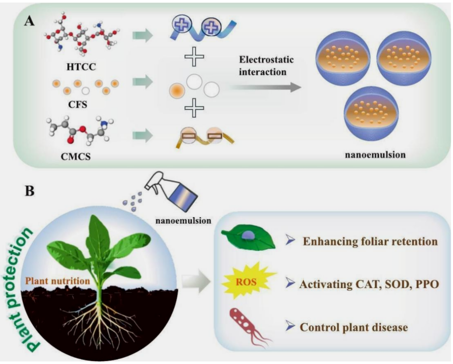 微信图片_2025-11-12_094458_181.png 微信图片_2025-11-12_094458_181.png
