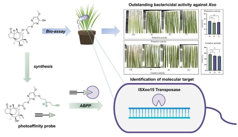 微信图片_2025-11-25_112102_098.jpg 微信图片_2025-11-25_112102_098.jpg