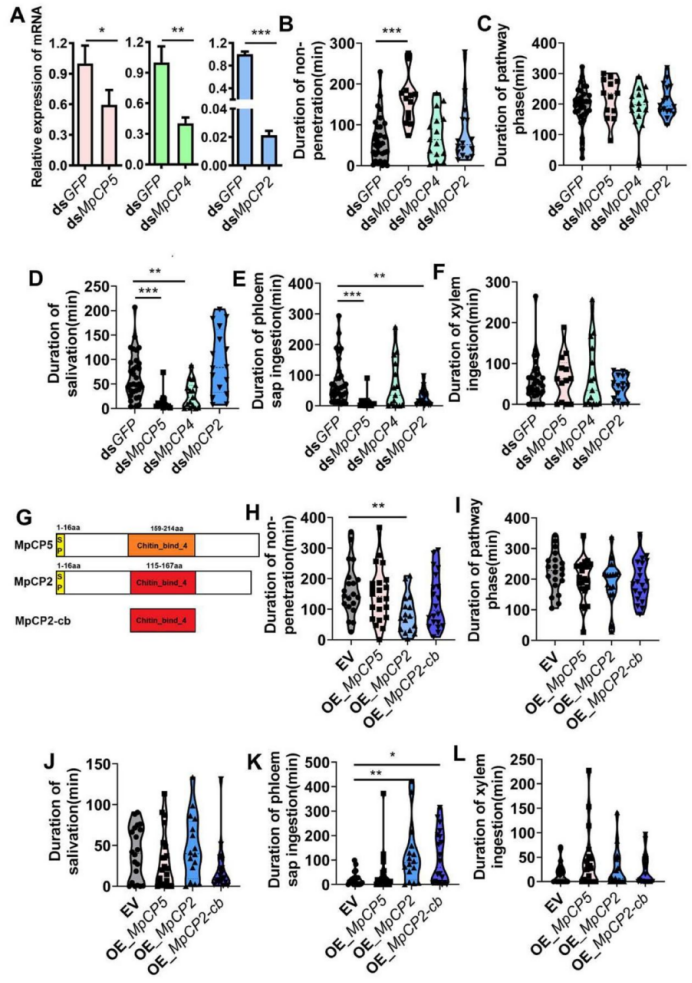 微信图片_2025-11-25_141741_185.png 微信图片_2025-11-25_141741_185.png
