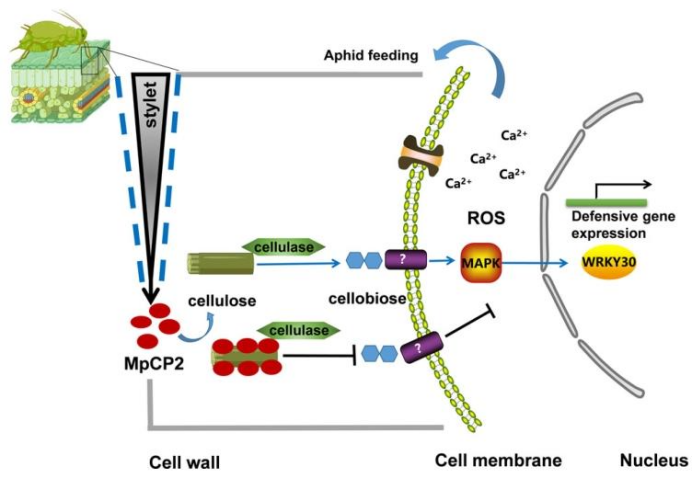 微信图片_2025-11-25_141751_721.png 微信图片_2025-11-25_141751_721.png