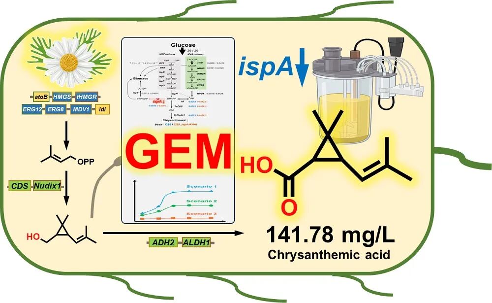微信图片_2025-12-08_095945_004.jpg 微信图片_2025-12-08_095945_004.jpg
