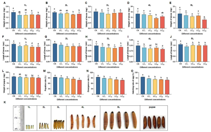 微信图片_2025-12-16_095902_125.png 微信图片_2025-12-16_095902_125.png