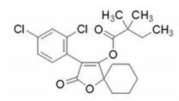 微信图片_2025-12-16_100354_011.png 微信图片_2025-12-16_100354_011.png