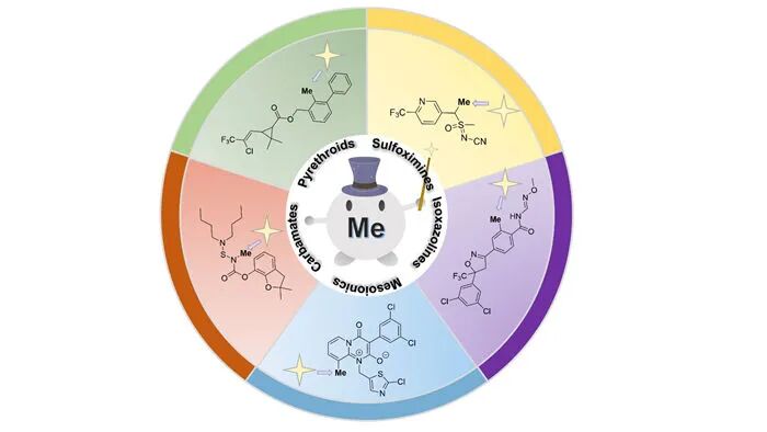 微信图片_2025-12-16_104135_575.jpg 微信图片_2025-12-16_104135_575.jpg