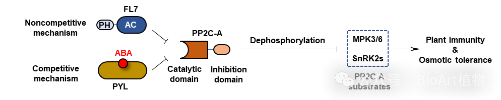 微信图片_2025-12-18_142822_369.png 微信图片_2025-12-18_142822_369.png