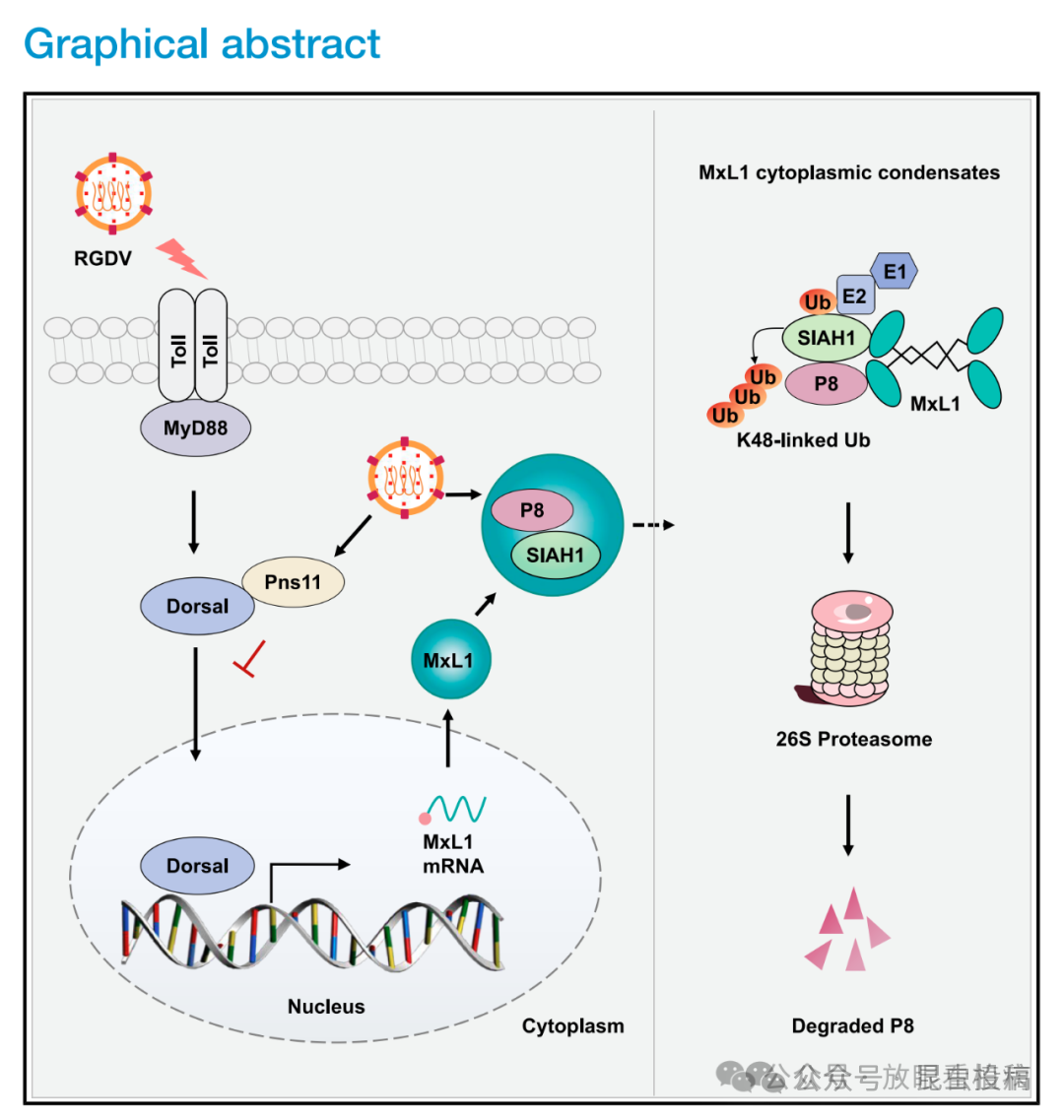 微信图片_2026-01-05_095924_206.png 微信图片_2026-01-05_095924_206.png