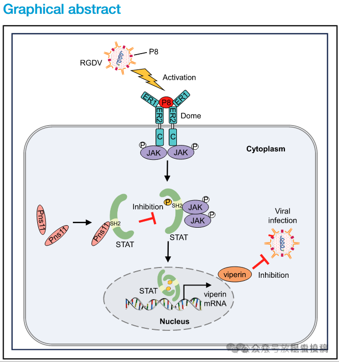 微信图片_2026-01-05_095931_384.png 微信图片_2026-01-05_095931_384.png