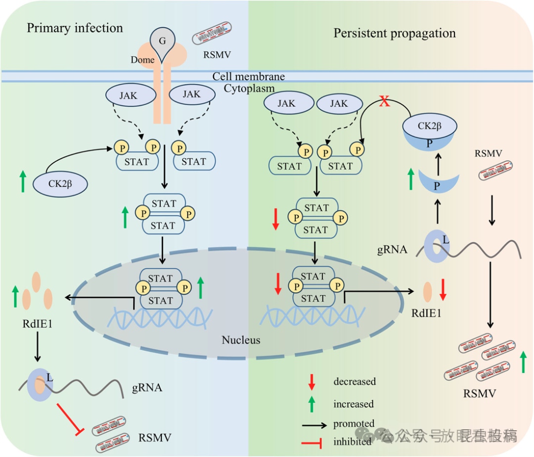 微信图片_2026-01-05_095937_910.png 微信图片_2026-01-05_095937_910.png