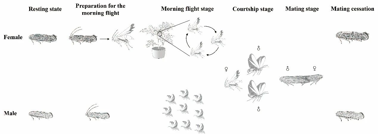 微信图片_2026-01-05_104125_997.jpg 微信图片_2026-01-05_104125_997.jpg