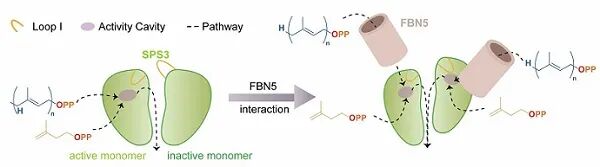 微信图片_2026-01-29_105355_802.jpg 微信图片_2026-01-29_105355_802.jpg
