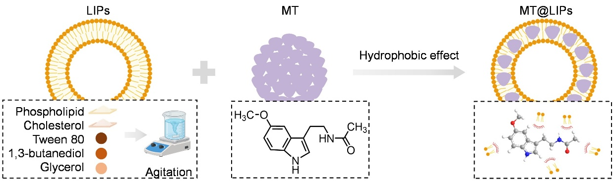 微信图片_2026-01-29_141304_044.png 微信图片_2026-01-29_141304_044.png