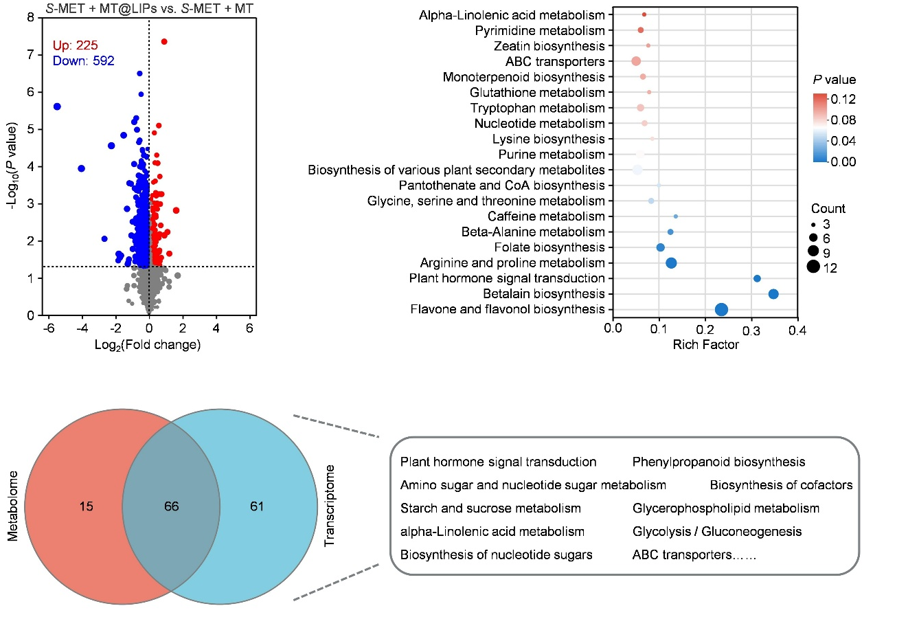 微信图片_2026-01-29_141306_890.png 微信图片_2026-01-29_141306_890.png