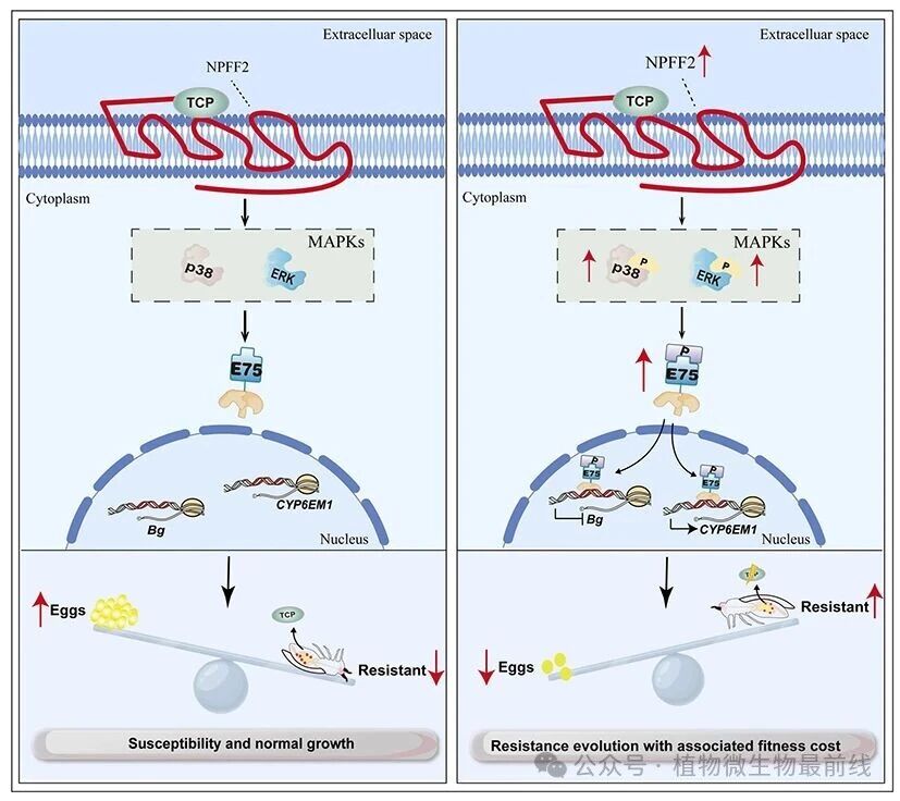 微信图片_2026-03-27_103916_393.jpg 微信图片_2026-03-27_103916_393.jpg