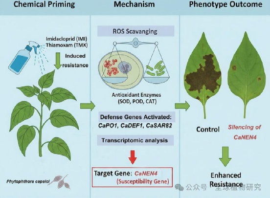 微信图片_2026-03-27_104833_375.png 微信图片_2026-03-27_104833_375.png