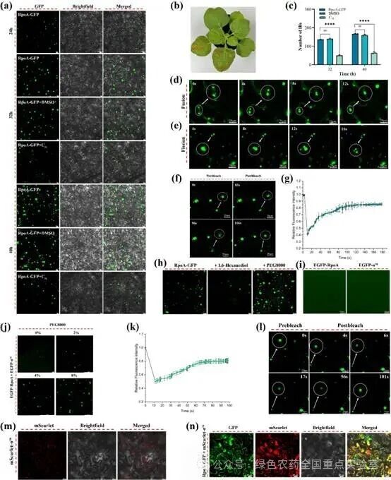 微信图片_2026-03-30_092855_409.jpg 微信图片_2026-03-30_092855_409.jpg