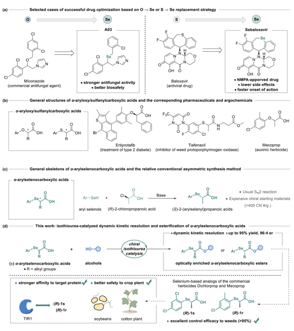微信图片_2026-04-08_093632_816.png 微信图片_2026-04-08_093632_816.png