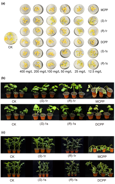 微信图片_2026-04-08_093659_286.png 微信图片_2026-04-08_093659_286.png