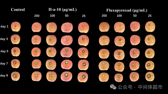 微信图片_2026-04-13_094631_244.png 微信图片_2026-04-13_094631_244.png