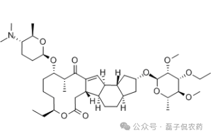 微信图片_2026-06-03_093903_589.png