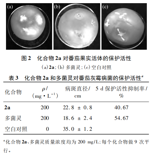微信图片_2026-06-18_093020_084.png