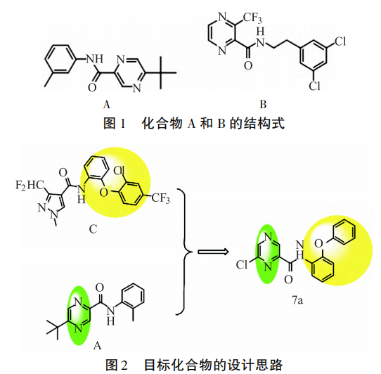 微信图片_2026-06-18_093428_576.png