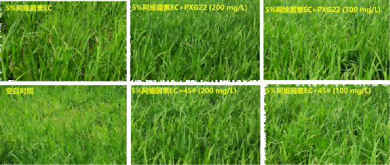 44(1).png